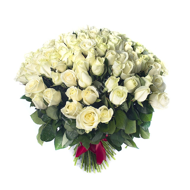 Букет «Премиальный» из 101 белой розы